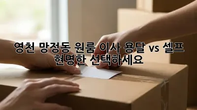 영천 망정동 원룸 이사, 용달 vs 셀프? 현명한 선택하세요!